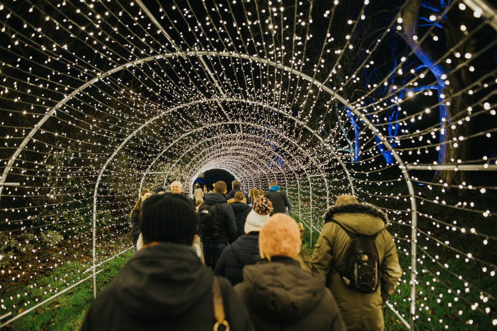 Visitors walking through the Starlit Tunnel in Chelsea